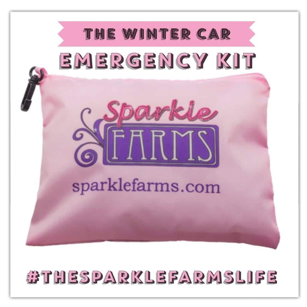 The Winter Car Emergency Kit
